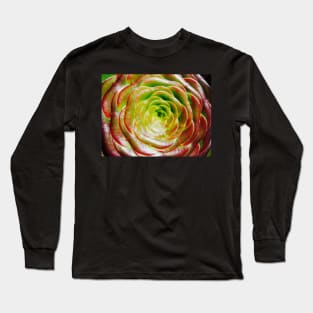 Cactus Rose ~ Succulent Aeonium Long Sleeve T-Shirt